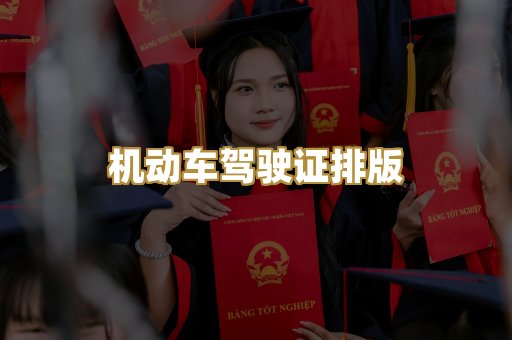 机动车驾驶证排版
